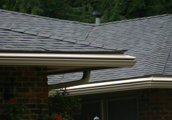 Gutter Guards and Leaf Protection